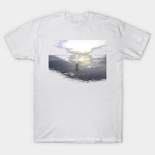 Stranger on the Shore T-Shirt